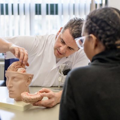 Vergelijking tussen gezonde hersenen en hersenen met Parkinson, met een tekort aan dopamine.
