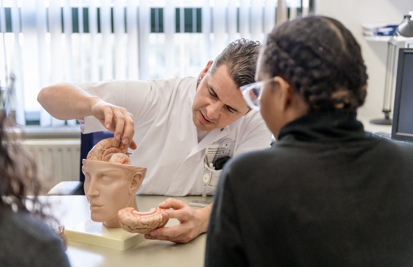Vergelijking tussen gezonde hersenen en hersenen met Parkinson, met een tekort aan dopamine.