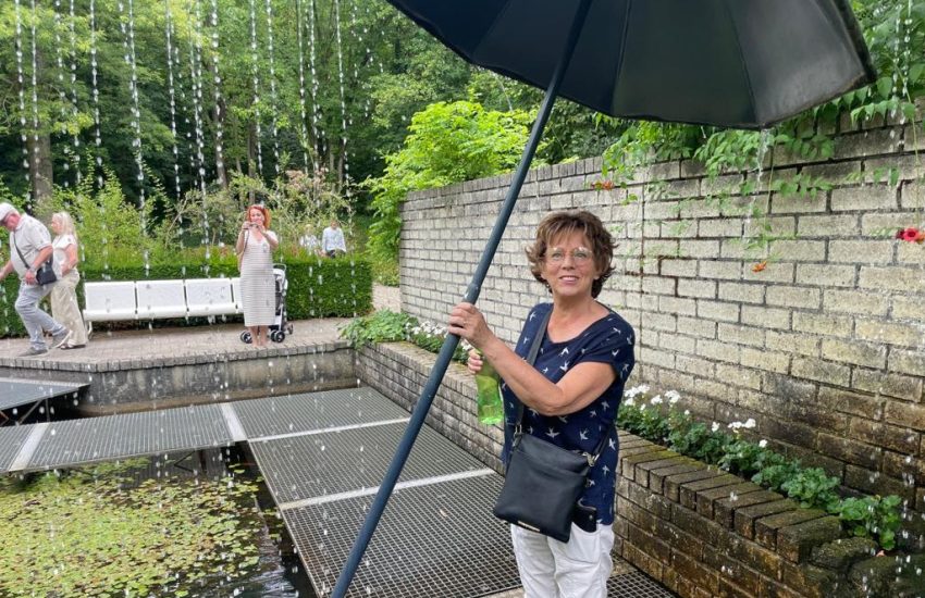 Lieky blogger Hersenstichting