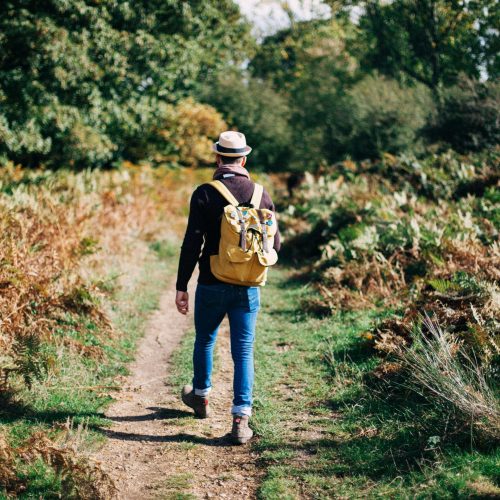 Man wandelt in de natuur